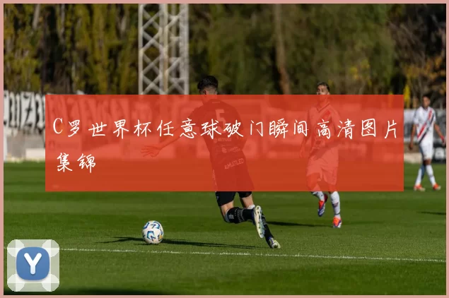 C罗世界杯任意球破门瞬间高清图片集锦