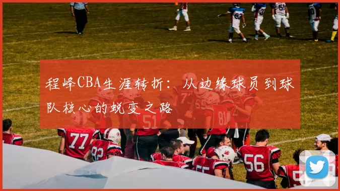程峰CBA生涯转折：从边缘球员到球队核心的蜕变之路