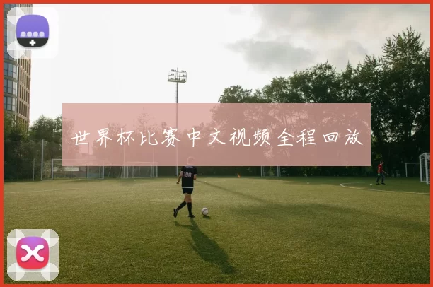 世界杯比赛中文视频全程回放