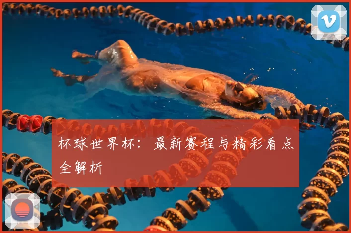 杯球世界杯：最新赛程与精彩看点全解析