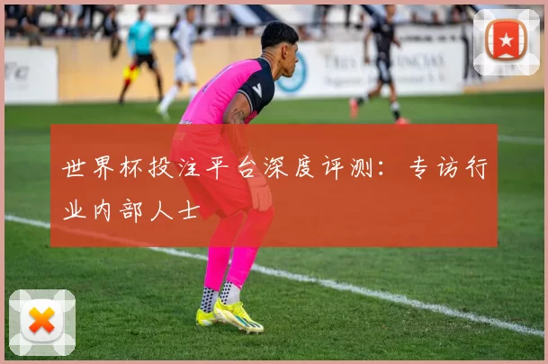 世界杯投注平台深度评测：专访行业内部人士