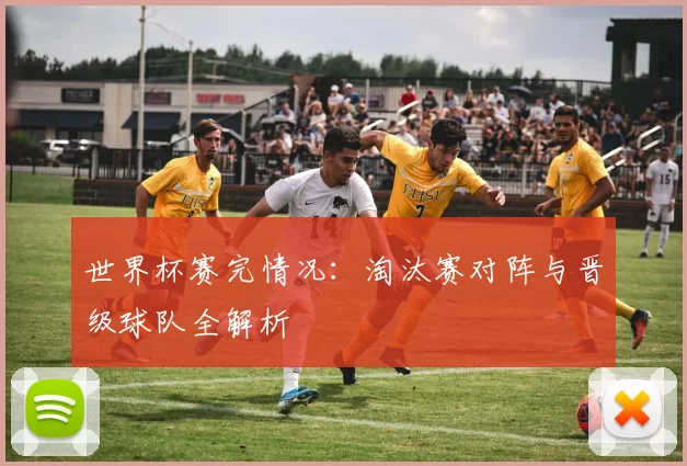 世界杯赛完情况：淘汰赛对阵与晋级球队全解析