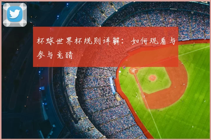 杯球世界杯规则详解:如何观看与参与竞猜