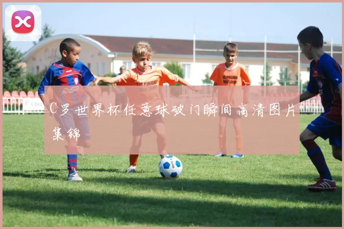 C罗世界杯任意球破门瞬间高清图片集锦
