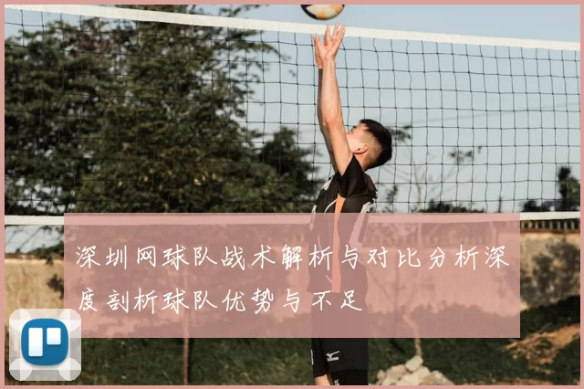 深圳网球队战术解析与对比分析深度剖析球队优势与不足