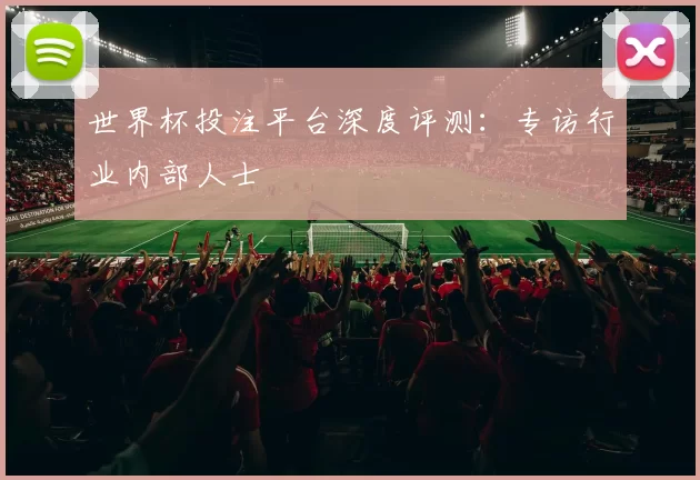 世界杯投注平台深度评测：专访行业内部人士