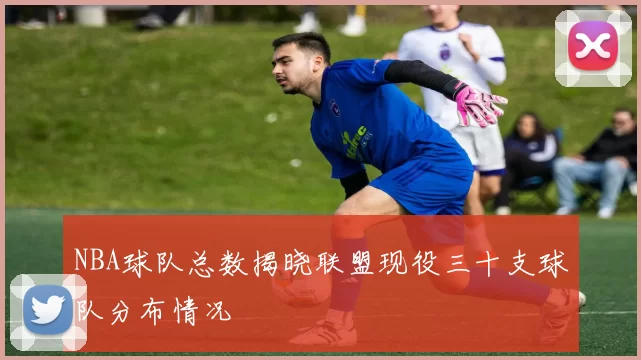 NBA球队总数揭晓联盟现役三十支球队分布情况