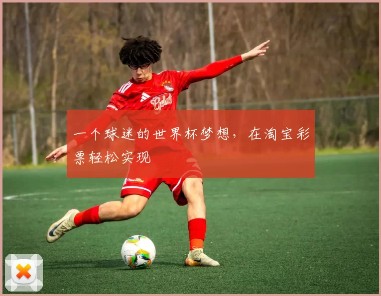 一个球迷的世界杯梦想,在淘宝彩票轻松实现